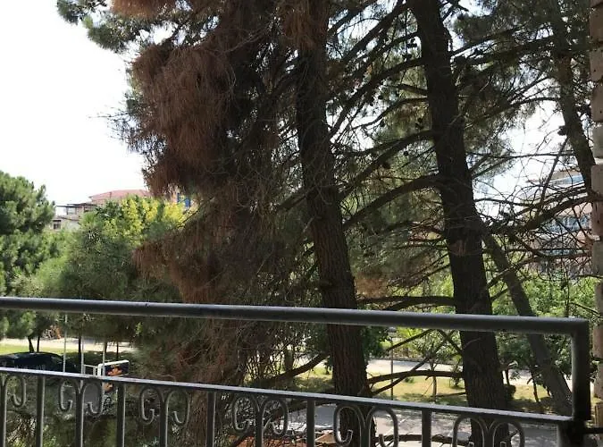 Nimfa-rusalka Słoneczny Brzeg